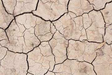 Close-up top view of dry brown cracked clay land surface in a summer day. Abstract weather background. Soft focus. Copy space. Drought and climate change theme.
