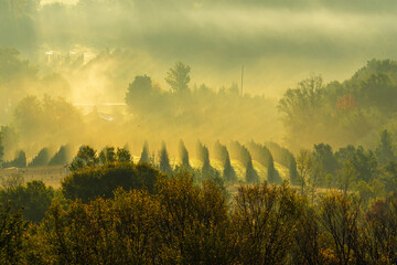 sunrise over the field