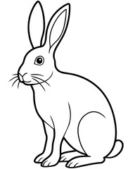 Obraz premium rabbit
