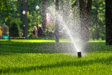 Automatic sprinkler system for watering a lawn. Irrigation system in a park or city garden. Flying...