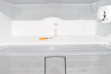 Insulin vial and insulin syringe isolated in an empty refrigerator. Controlled temperature for an...