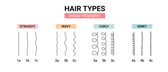 hair types beauty Classification. straight, wavy, curly, kinky. Scheme different types of hair. Curly girl method.
