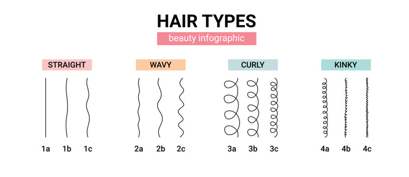 hair types beauty Classification. straight, wavy, curly, kinky. Scheme different types of hair. Curly girl method.