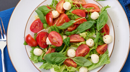 Salad with mozzarella, cherry tomatoes and green lettuce in a white round plate