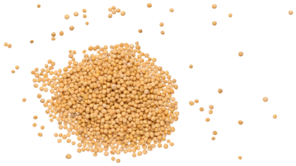 Scattered mustard seeds on isolated background
