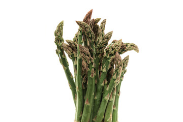 green uncooked asparagus vegetable in a bundle on white background