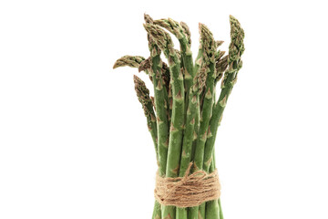 fresh perennial asparagus vegetable tied with rope standing