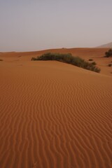 Dunes of Erg Chebbi, Sahara Desert Morocco North Africa