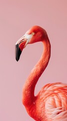 Obraz premium A vibrant close-up of a flamingo against a soft pink background with copy space.