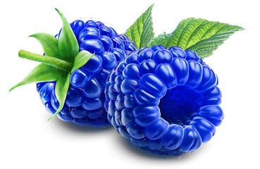 Two juicy blue raspberries with leaf isolated on a transparent background.