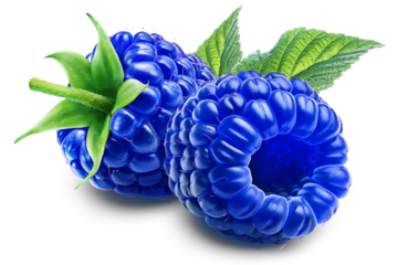 Two juicy blue raspberries with leaf isolated on a transparent background.