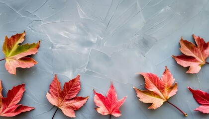 autumn background with colored red leaves on blue slate background top view copy space