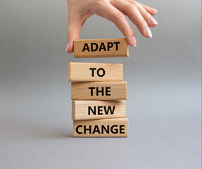 Adapt to Changes symbol. Wooden blocks with words Manage and Adapt to Changes. Beautiful grey...