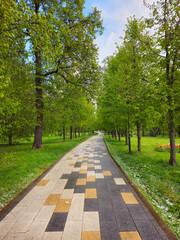 Park of the future Botanical garden Moscow, city green alley in spring.
