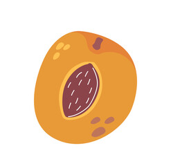 Ripe Apricot Fruit Half With A Visible Seed Isolated On White Background. Cartoon Vector Illustration Of Garden Fruit