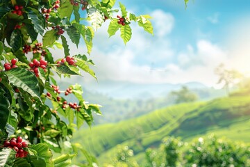 A view of a tea plantation with vibrant red berries growing on the bushes. Generative AI