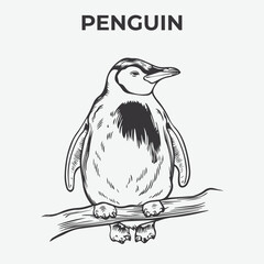 Penguin bird Detailed Outline for Artistic Coloring. Vector Illustration
