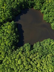 Portrait format of an aerial picture of the old point mangrove park in san andres island, Colombia