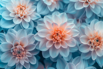 Close-up of an abstract background of flowers