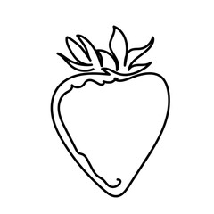 Continuous line art drawing of strawberries. Vector illustration on white