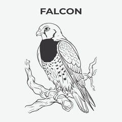 Falcon bird Detailed Outline for Artistic Coloring. Vector Illustration