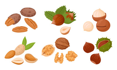 Cartoon organic nuts. Raw hazelnut, macadamia and almond, tasty snacks for vegetarian diet flat vector illustration set. Nuts collection on white