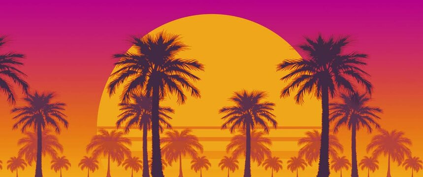 A palm alley against the sun. Summer looped background 