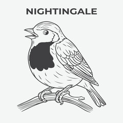Nightingale bird Detailed Outline for Artistic Coloring. Vector Illustration