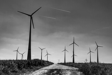 Windpark in Rheinhessen, Rheinland-Pfalz