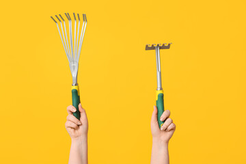 Female hands with gardening rakes on yellow background, closeup