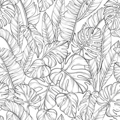 Seamless pattern with outline leafs of monstera