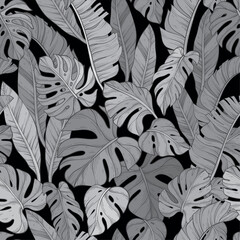 Seamless pattern with black monochrome leafs of monstera