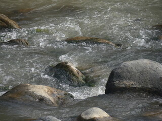 small river in the mountains