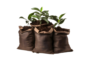 Potting Soil_Bags isolated on transparent background