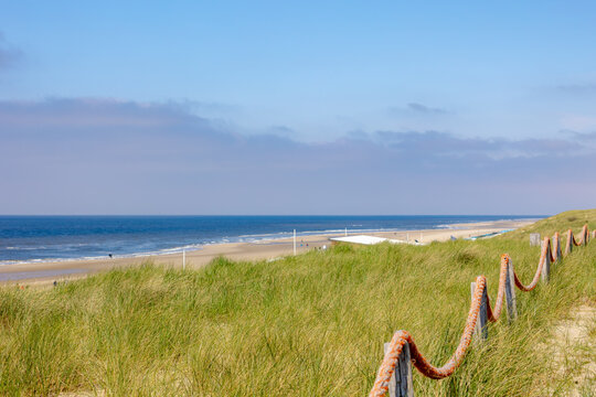 Typical landscape of Island in north sea under blue sky, Beach path and european marram beach grass on the sand dunes, De Koog is a village in the Dutch province of North Holland, Texel, Netherlands.