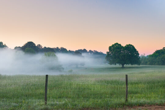 Morning Fog over a rural pasture at sunrise, Monroe, Georgia, USA