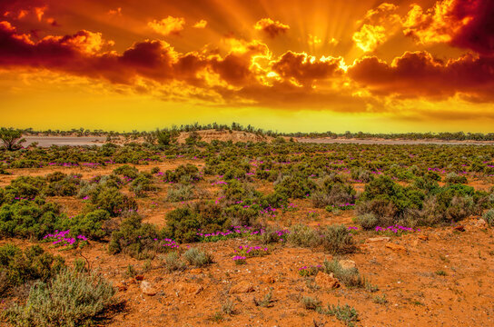 Dramatic orange and yellow sunset over straight road through outback landscape, Kalgoorlie, Western Australia, Australia