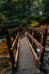 Obraz premium wooden bridge in the forest