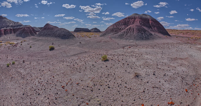 Haystack Mesa and Little Teepees, Petrified Forest National Park, Arizona, USA