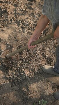 Woman digs up the soil with a hoe. Vertical video.