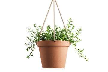 Minimalist Hanging Terracotta Planter Concept Isolated on Transparent Background