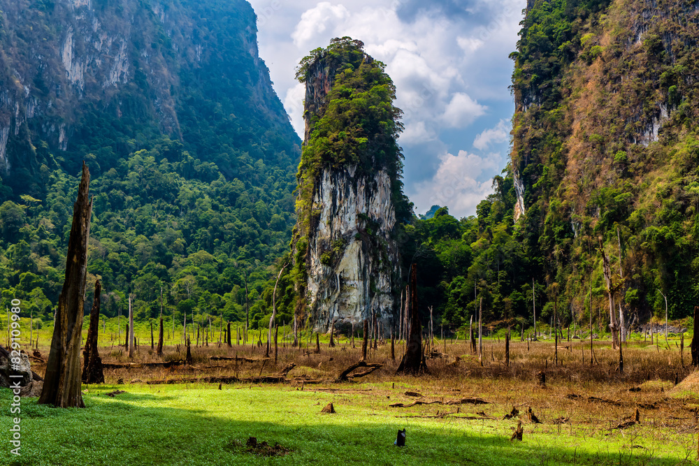 Wall mural limestone cliffs and tropical jungle in a remote wilderness