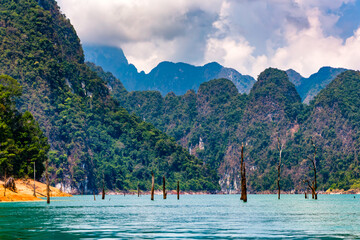 Petrified trees and dense jungle in a large lake surrounded by limestone cliffs (Khao Sok)