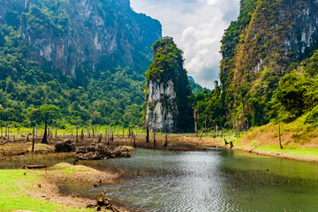Thick tropical jungle and towering limestone cliffs in Khao Sok, Thailand