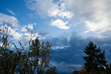 Sky at sunset. Beautiful sky.
