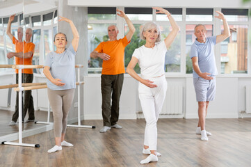 Group of elderly people of different ages are learning various dance and ballet movements in the...
