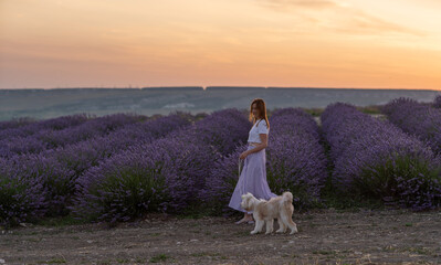 A woman and her dog walk through a field of lavender