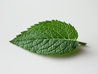 Obraz premium Close-up of fresh green mint leaf