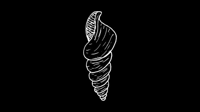 White wiggly hand drawn sea shell doodle icon animation 1