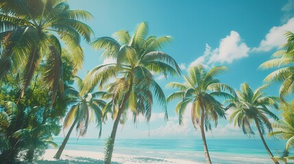 Obraz premium Tropical beach and palm trees, palm trees framing, Copy space on sky background 
